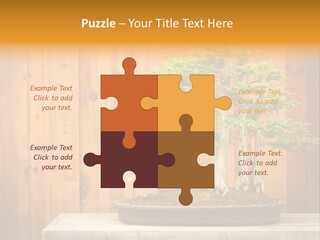 A Bonsai Tree On A Table In Front Of A Wooden Wall PowerPoint Template