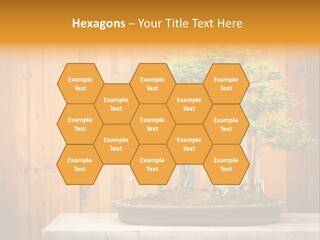 A Bonsai Tree On A Table In Front Of A Wooden Wall PowerPoint Template