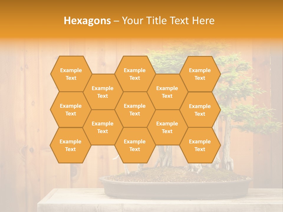 A Bonsai Tree On A Table In Front Of A Wooden Wall PowerPoint Template