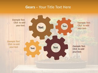 A Bonsai Tree On A Table In Front Of A Wooden Wall PowerPoint Template