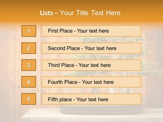 A Bonsai Tree On A Table In Front Of A Wooden Wall PowerPoint Template