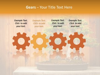 A Bonsai Tree On A Table In Front Of A Wooden Wall PowerPoint Template