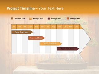 A Bonsai Tree On A Table In Front Of A Wooden Wall PowerPoint Template