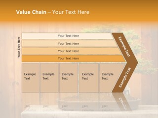 A Bonsai Tree On A Table In Front Of A Wooden Wall PowerPoint Template