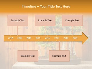 A Bonsai Tree On A Table In Front Of A Wooden Wall PowerPoint Template