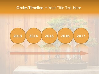 A Bonsai Tree On A Table In Front Of A Wooden Wall PowerPoint Template