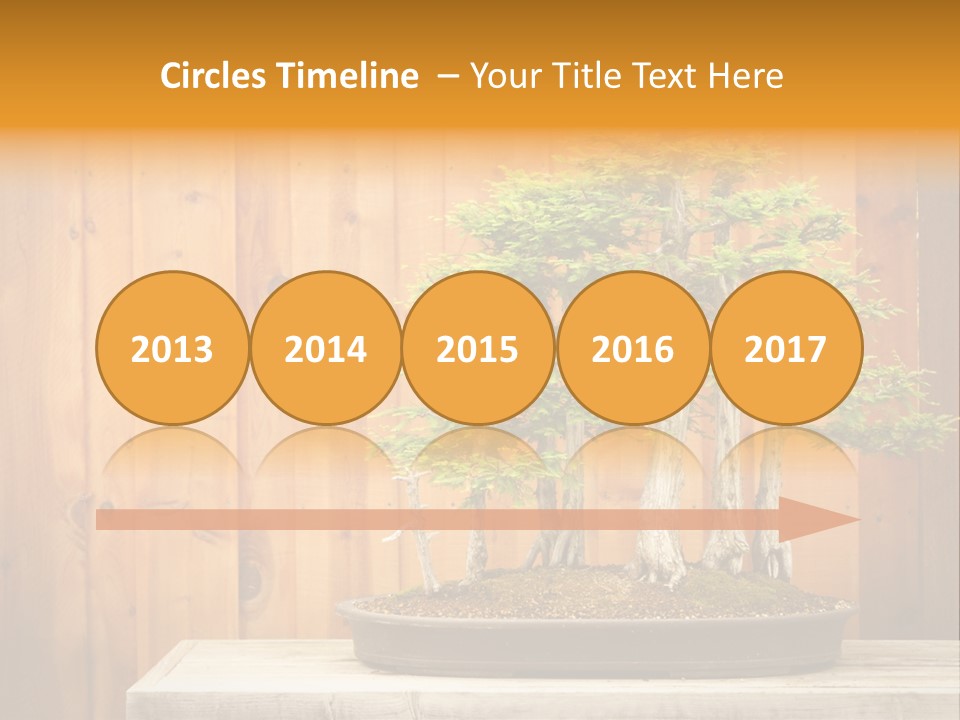 A Bonsai Tree On A Table In Front Of A Wooden Wall PowerPoint Template