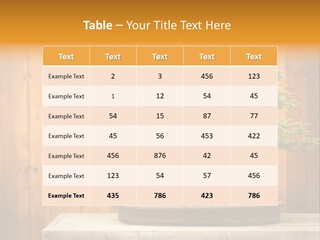 A Bonsai Tree On A Table In Front Of A Wooden Wall PowerPoint Template