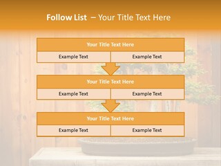 A Bonsai Tree On A Table In Front Of A Wooden Wall PowerPoint Template