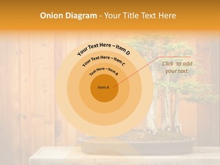 A Bonsai Tree On A Table In Front Of A Wooden Wall PowerPoint Template