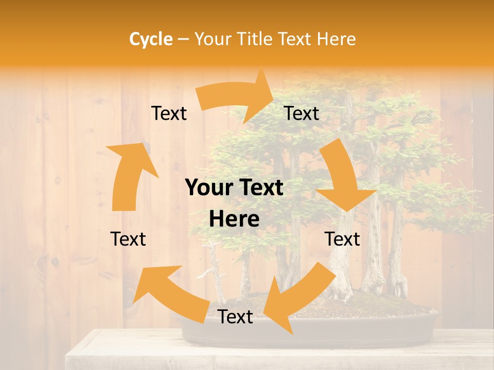 A Bonsai Tree On A Table In Front Of A Wooden Wall PowerPoint Template