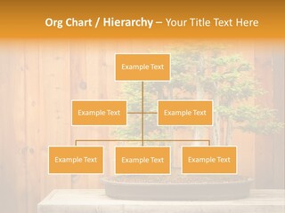 A Bonsai Tree On A Table In Front Of A Wooden Wall PowerPoint Template