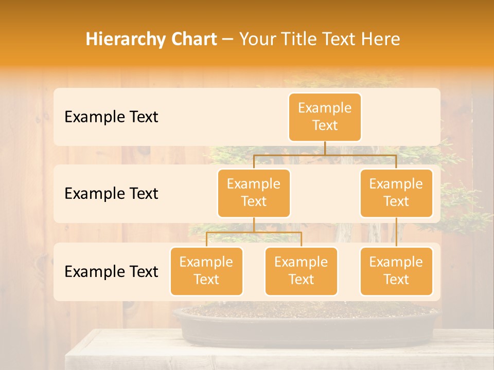 A Bonsai Tree On A Table In Front Of A Wooden Wall PowerPoint Template