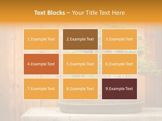 A Bonsai Tree On A Table In Front Of A Wooden Wall PowerPoint Template