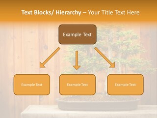 A Bonsai Tree On A Table In Front Of A Wooden Wall PowerPoint Template