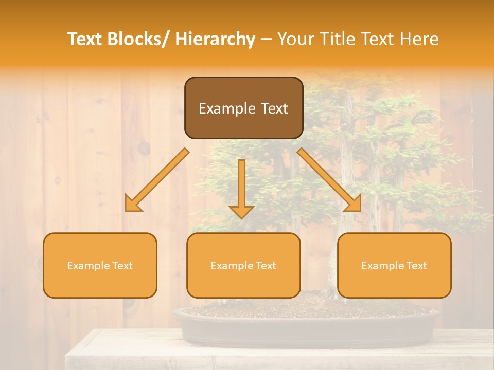 A Bonsai Tree On A Table In Front Of A Wooden Wall PowerPoint Template