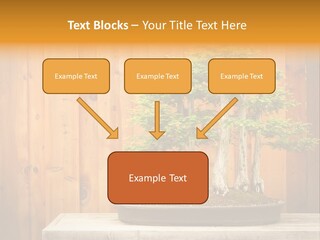 A Bonsai Tree On A Table In Front Of A Wooden Wall PowerPoint Template