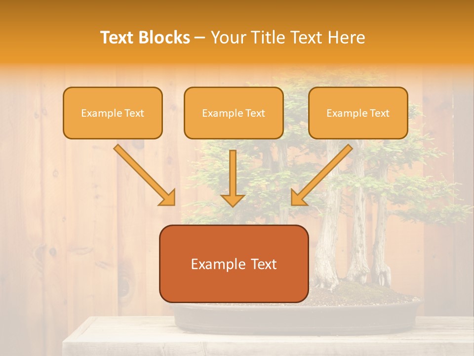 A Bonsai Tree On A Table In Front Of A Wooden Wall PowerPoint Template