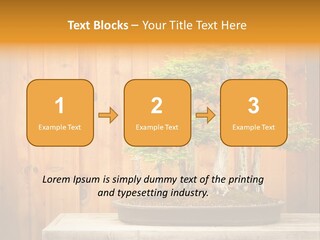 A Bonsai Tree On A Table In Front Of A Wooden Wall PowerPoint Template