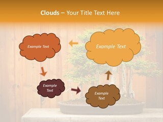 A Bonsai Tree On A Table In Front Of A Wooden Wall PowerPoint Template