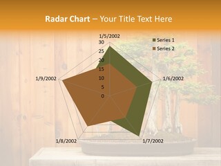 A Bonsai Tree On A Table In Front Of A Wooden Wall PowerPoint Template