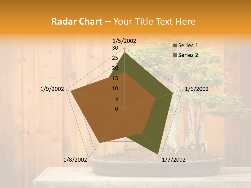 A Bonsai Tree On A Table In Front Of A Wooden Wall PowerPoint Template