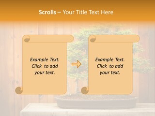A Bonsai Tree On A Table In Front Of A Wooden Wall PowerPoint Template