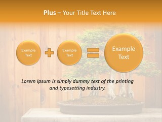 A Bonsai Tree On A Table In Front Of A Wooden Wall PowerPoint Template