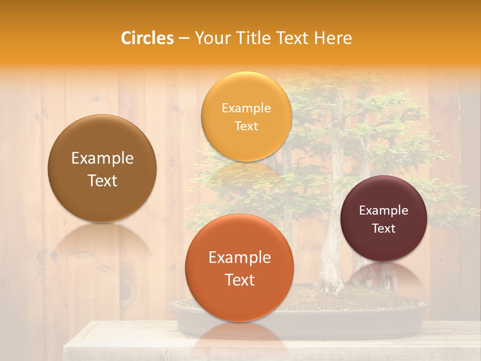 A Bonsai Tree On A Table In Front Of A Wooden Wall PowerPoint Template