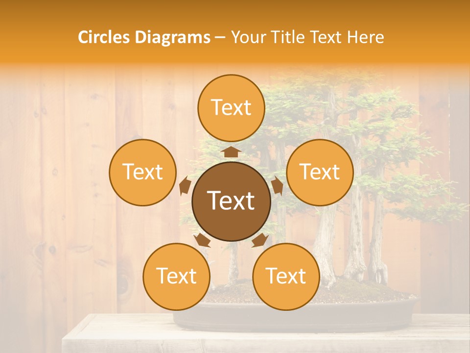 A Bonsai Tree On A Table In Front Of A Wooden Wall PowerPoint Template