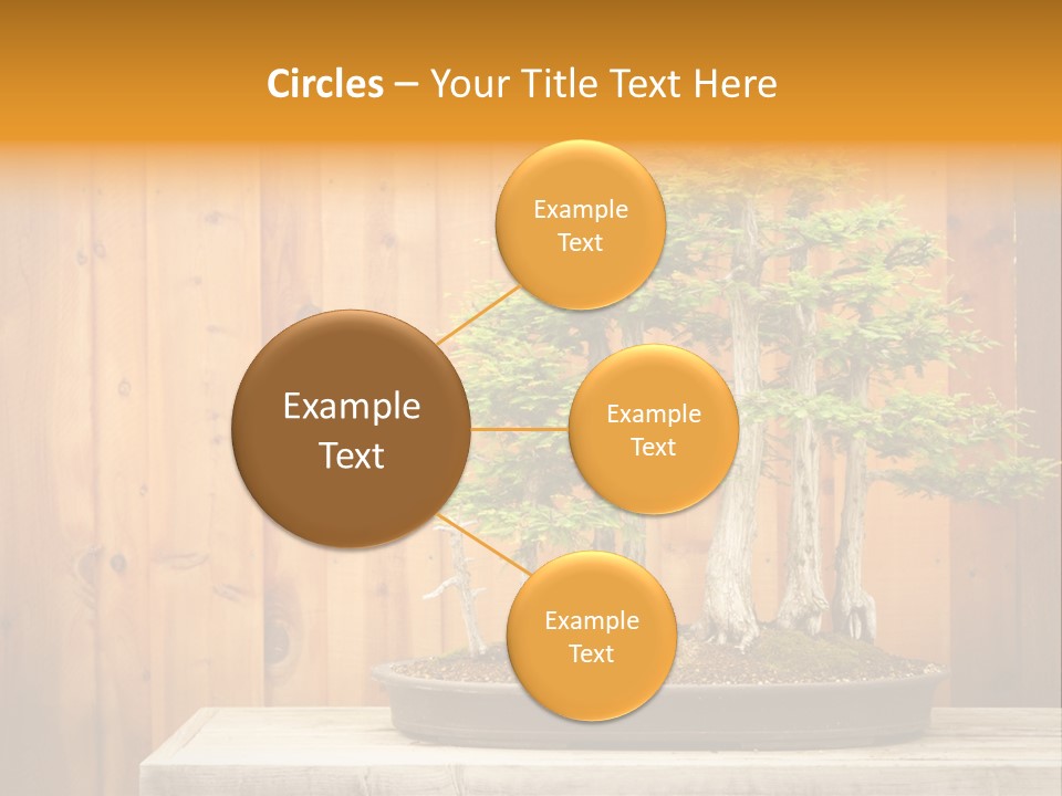 A Bonsai Tree On A Table In Front Of A Wooden Wall PowerPoint Template