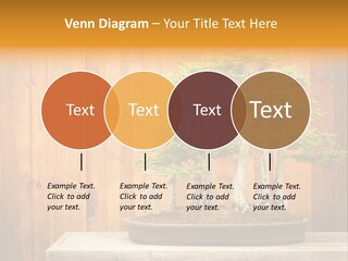 A Bonsai Tree On A Table In Front Of A Wooden Wall PowerPoint Template
