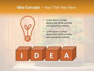 A Bonsai Tree On A Table In Front Of A Wooden Wall PowerPoint Template