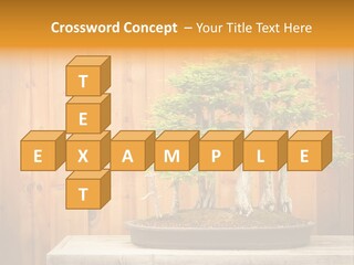 A Bonsai Tree On A Table In Front Of A Wooden Wall PowerPoint Template