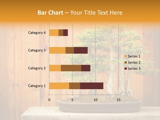 A Bonsai Tree On A Table In Front Of A Wooden Wall PowerPoint Template