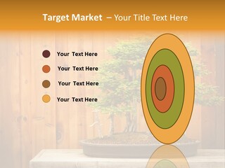 A Bonsai Tree On A Table In Front Of A Wooden Wall PowerPoint Template