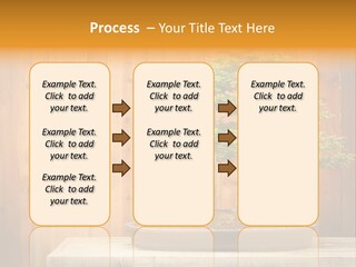 A Bonsai Tree On A Table In Front Of A Wooden Wall PowerPoint Template