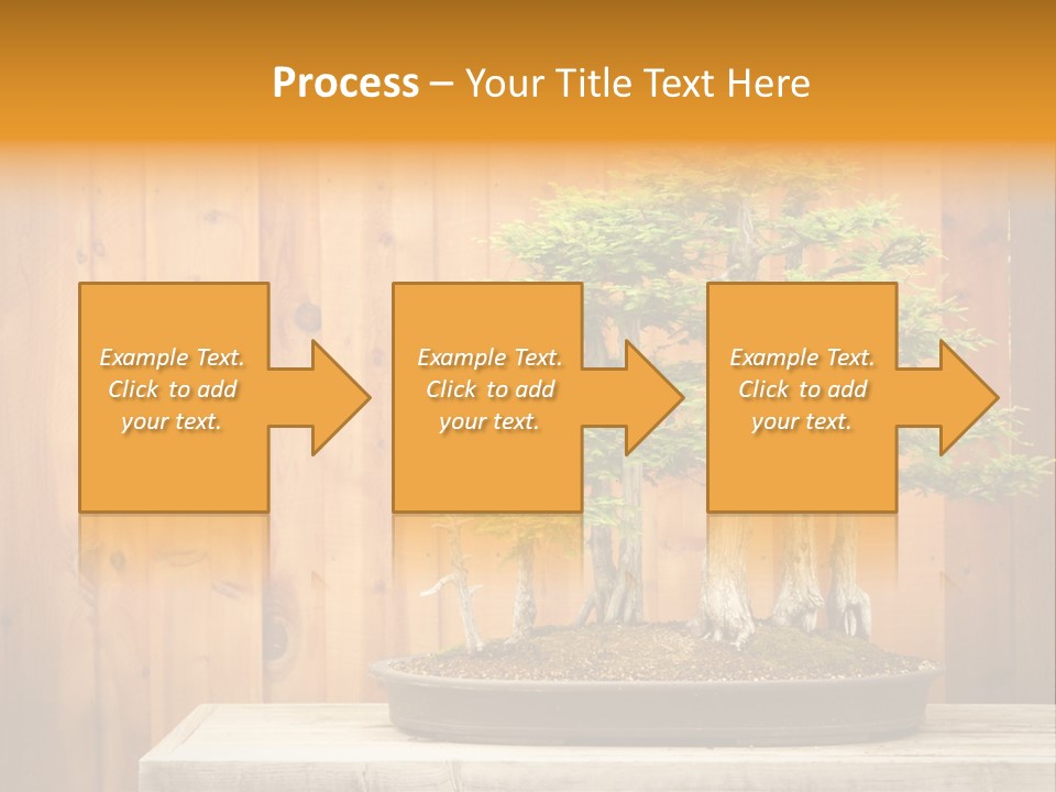 A Bonsai Tree On A Table In Front Of A Wooden Wall PowerPoint Template