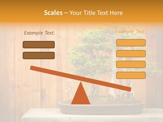 A Bonsai Tree On A Table In Front Of A Wooden Wall PowerPoint Template