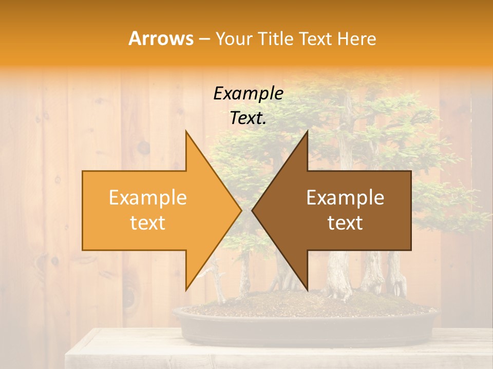 A Bonsai Tree On A Table In Front Of A Wooden Wall PowerPoint Template