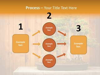 A Bonsai Tree On A Table In Front Of A Wooden Wall PowerPoint Template