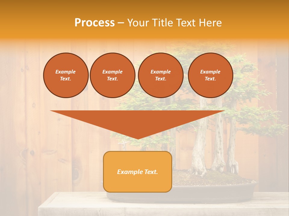 A Bonsai Tree On A Table In Front Of A Wooden Wall PowerPoint Template