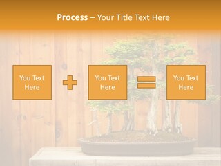 A Bonsai Tree On A Table In Front Of A Wooden Wall PowerPoint Template