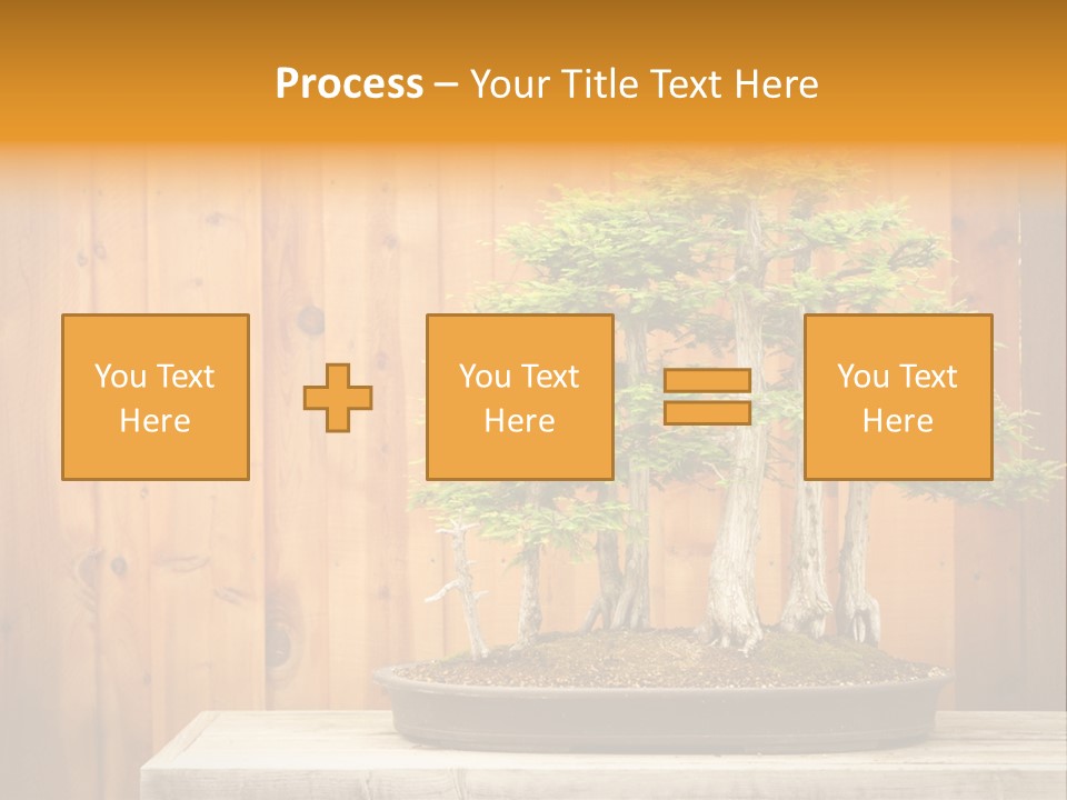 A Bonsai Tree On A Table In Front Of A Wooden Wall PowerPoint Template