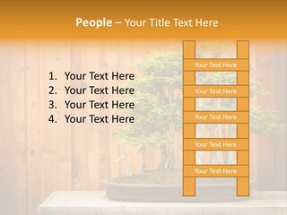 A Bonsai Tree On A Table In Front Of A Wooden Wall PowerPoint Template