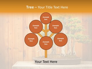 A Bonsai Tree On A Table In Front Of A Wooden Wall PowerPoint Template