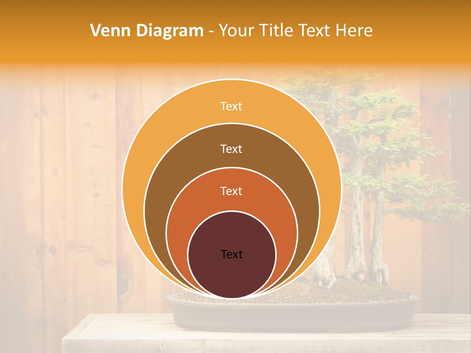 A Bonsai Tree On A Table In Front Of A Wooden Wall PowerPoint Template
