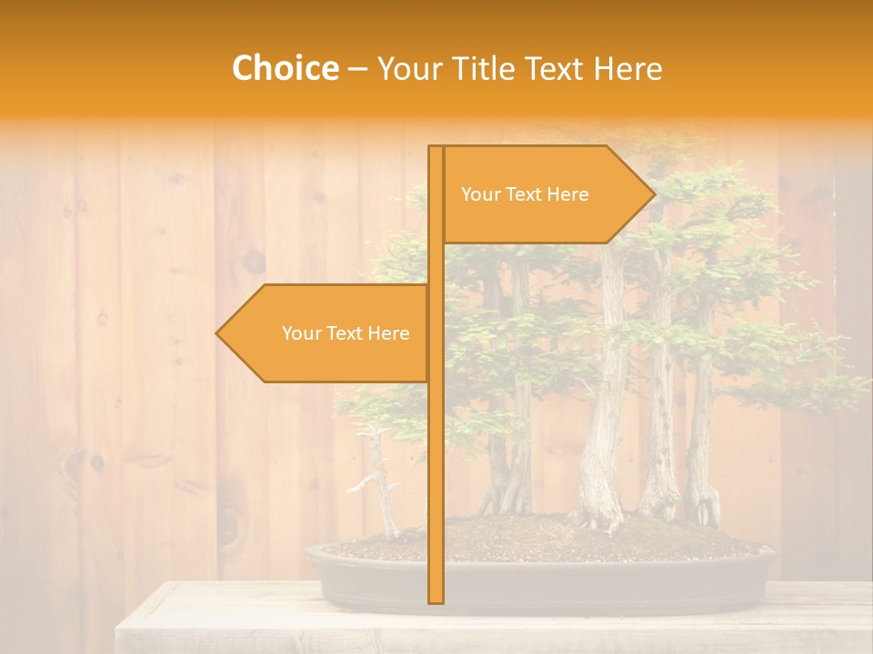 A Bonsai Tree On A Table In Front Of A Wooden Wall PowerPoint Template