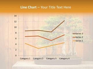 A Bonsai Tree On A Table In Front Of A Wooden Wall PowerPoint Template