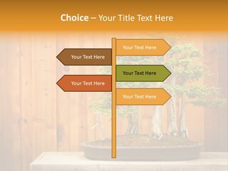A Bonsai Tree On A Table In Front Of A Wooden Wall PowerPoint Template